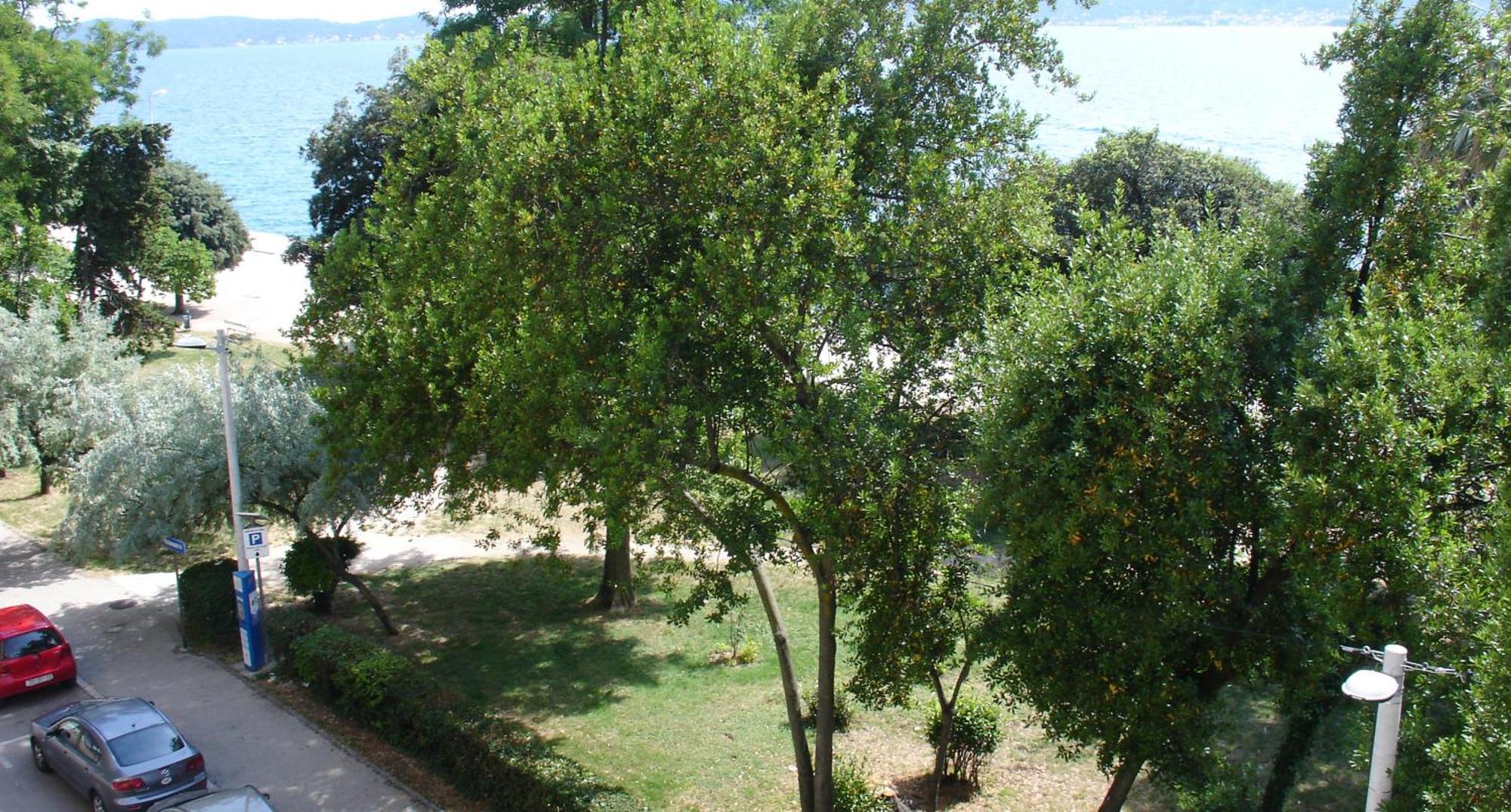 Apartment Jelena Zadar Zewnętrze zdjęcie